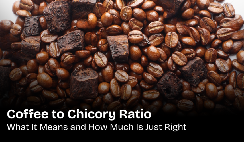 Coffee to Chicory Ratio What It Means and How Much Is Just Right Coffee to Chicory Ratio What It Means and How Much Is Just Right