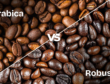 arabica vs rbusta