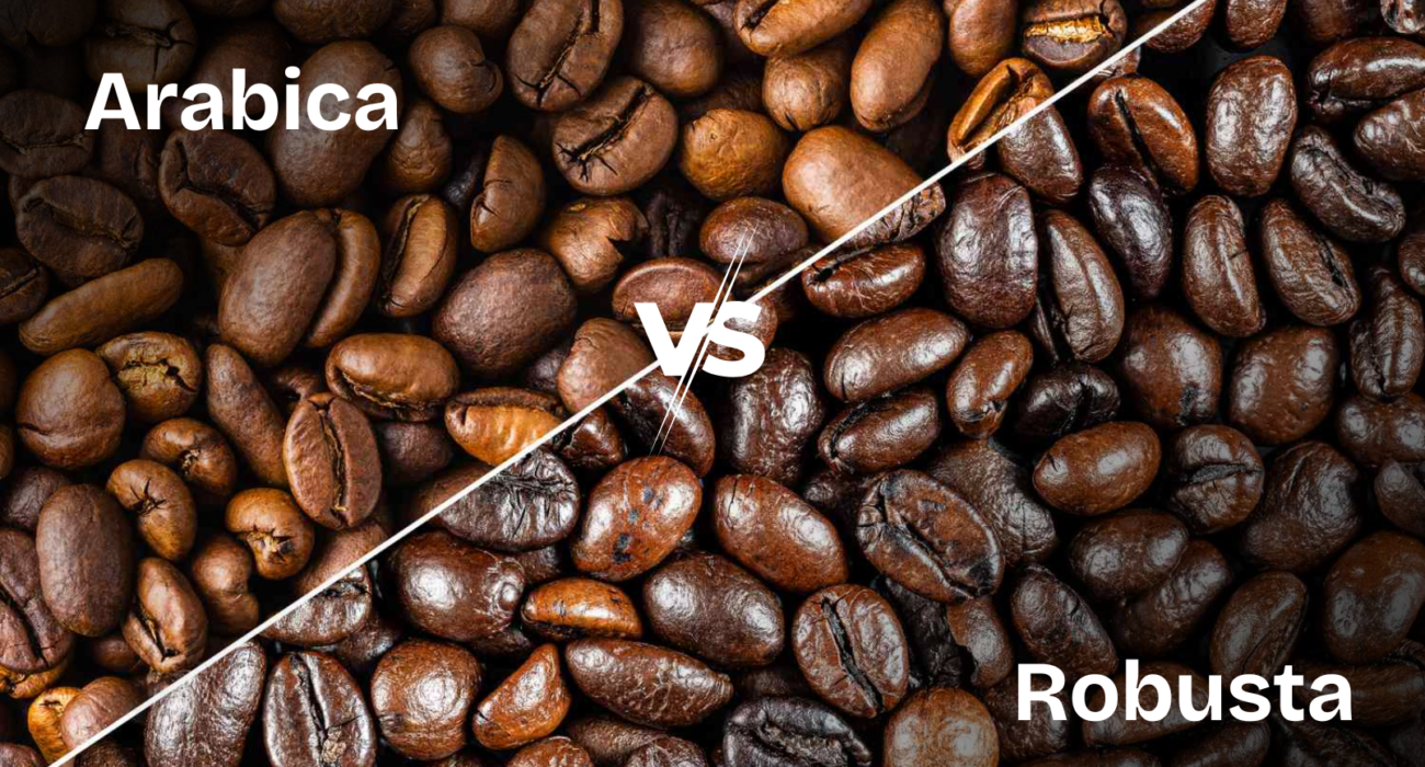 arabica vs rbusta