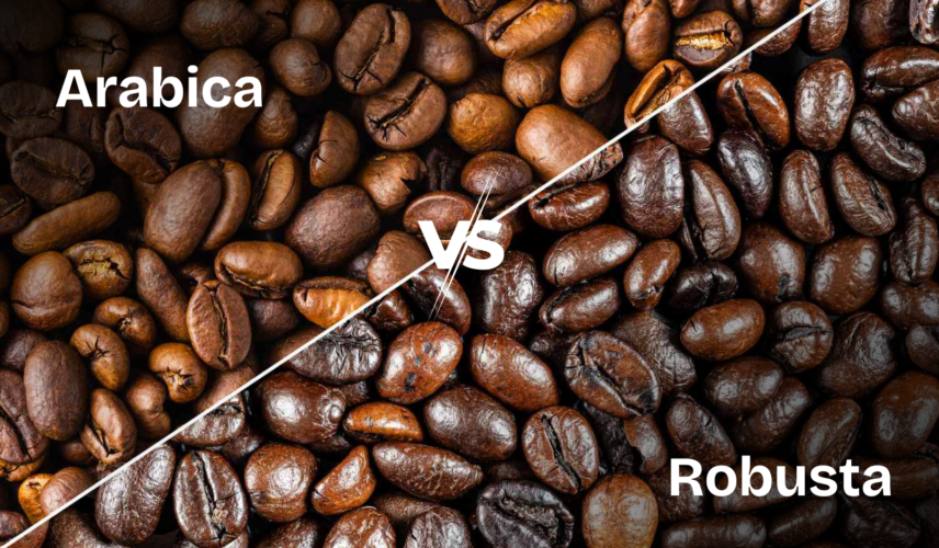 arabica vs rbusta