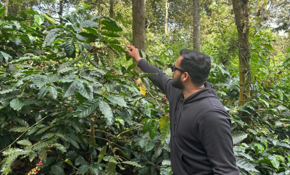 Shade Growing Shapes Green Coffee Bean Quality
